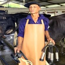 Acting Foreman - Dairy Technician